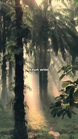 keun wios