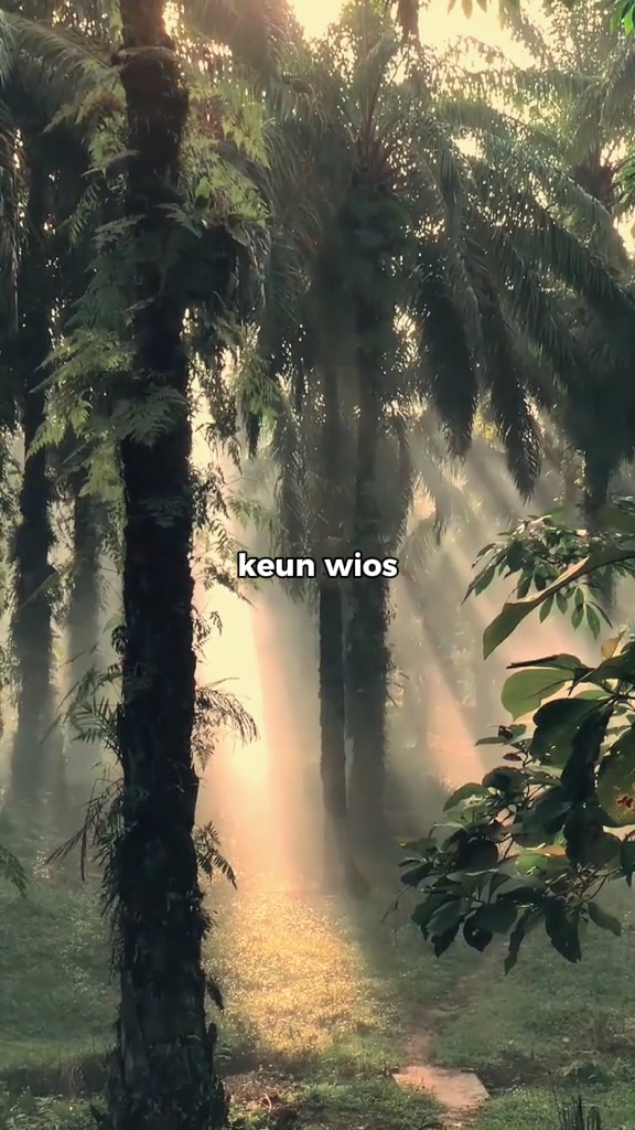 wios keun