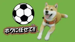 ボクに任せて！