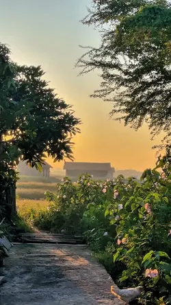 duh sayang ngapunten