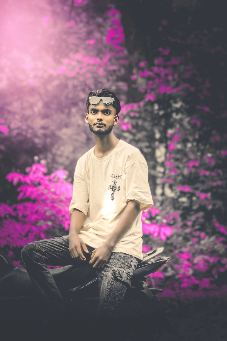 Cover Picture