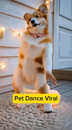 Pet Dance Ai