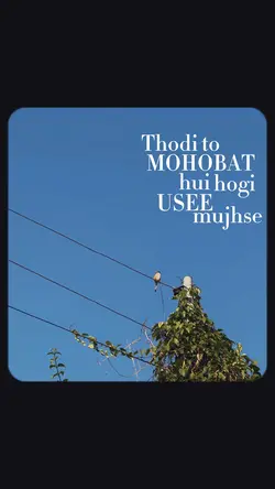 Thodi toh mohabat