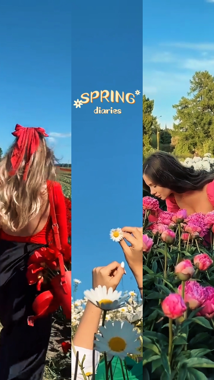 Spring Diaries 