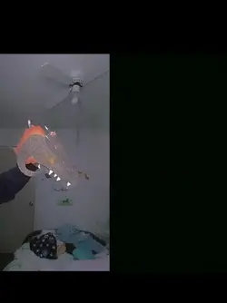 requested