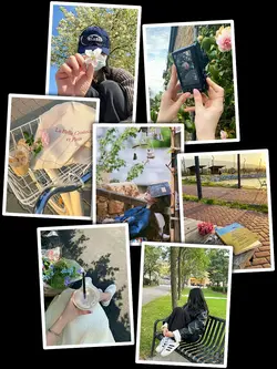 7Pic Frame Aesthetic