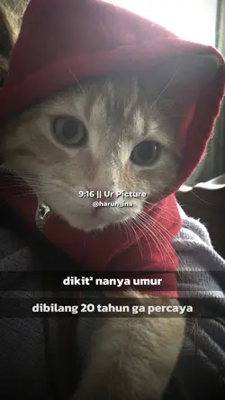 DIKIT² NANYA UMUR