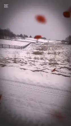 𝖘𝖎 𝖊𝖑 𝖉𝖎𝖆 𝖉𝖊 𝖒𝖆𝖓̃𝖆𝖓𝖆