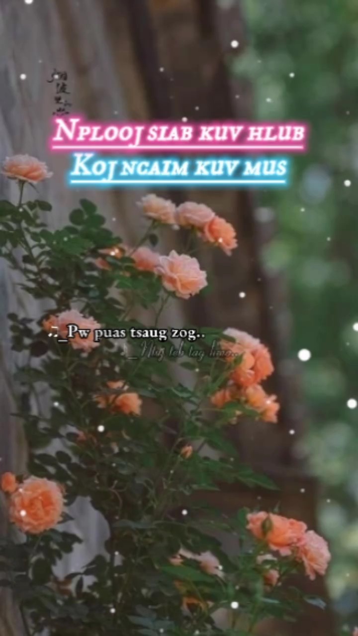 Nplooj siab kuv hlub