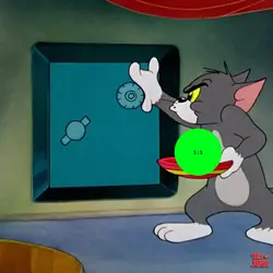 Tom Jerry 