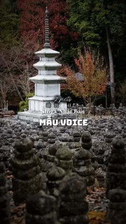 Mẫu voice