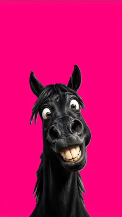 cavalo.