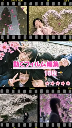 【桜満開✤今の季節にピッタリ!!】