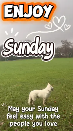 Enjoy Sunday 