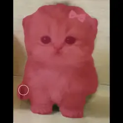 Gary
