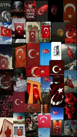 29 Ekim