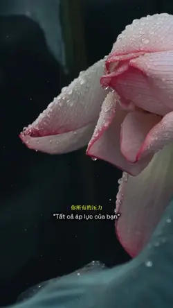 1 ẢNH