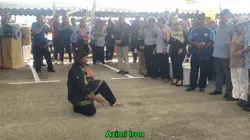 Silat