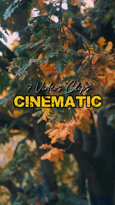 Cinématique 7 Vidéos 