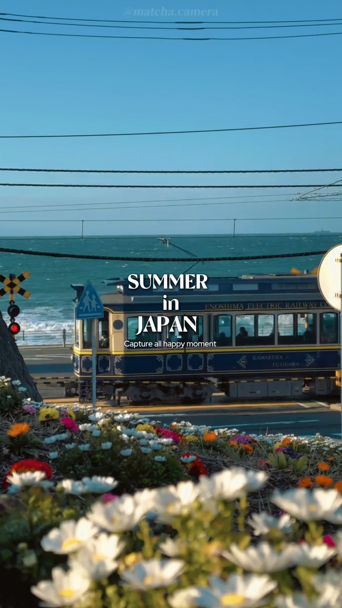 Summer in Japan 