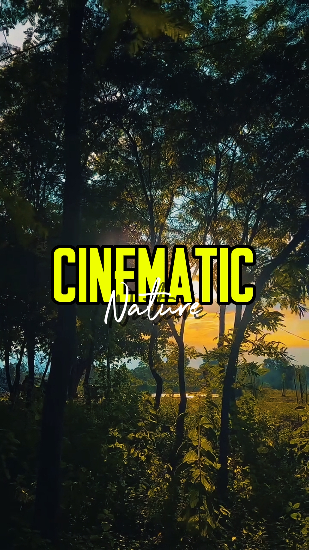 CINEMATIC