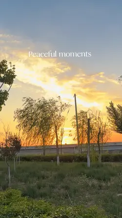 Peaceful moments