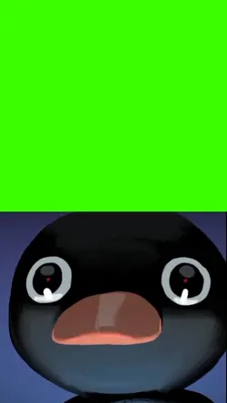 noot noot meme