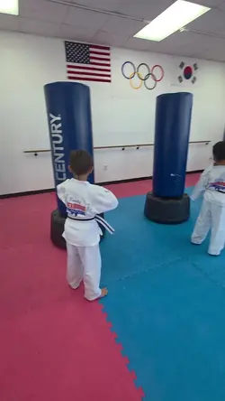 Taekwondo