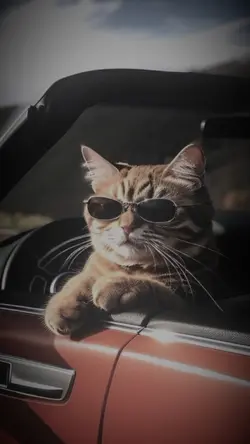 dj holalage nomirror