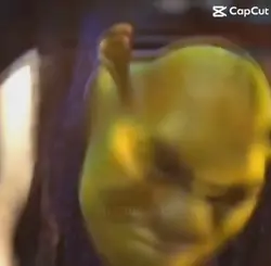 Shrek Screaming