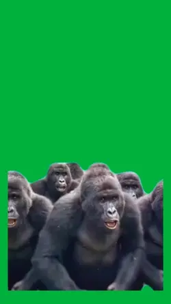 With the homies