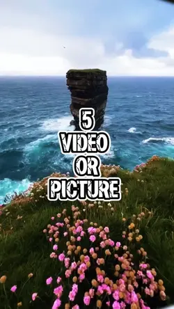 5 video or picture 