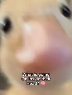 Donald Duck? sigma?