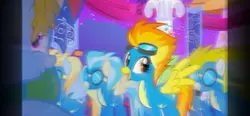 spitfire mlp 🔥