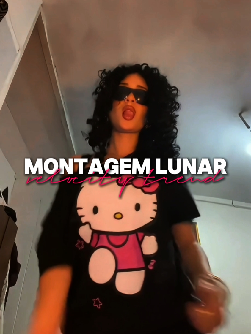 MONTAGEM LUNAR