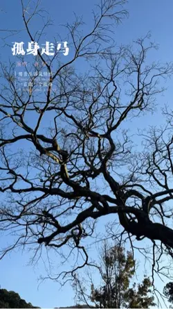 孤身走馬