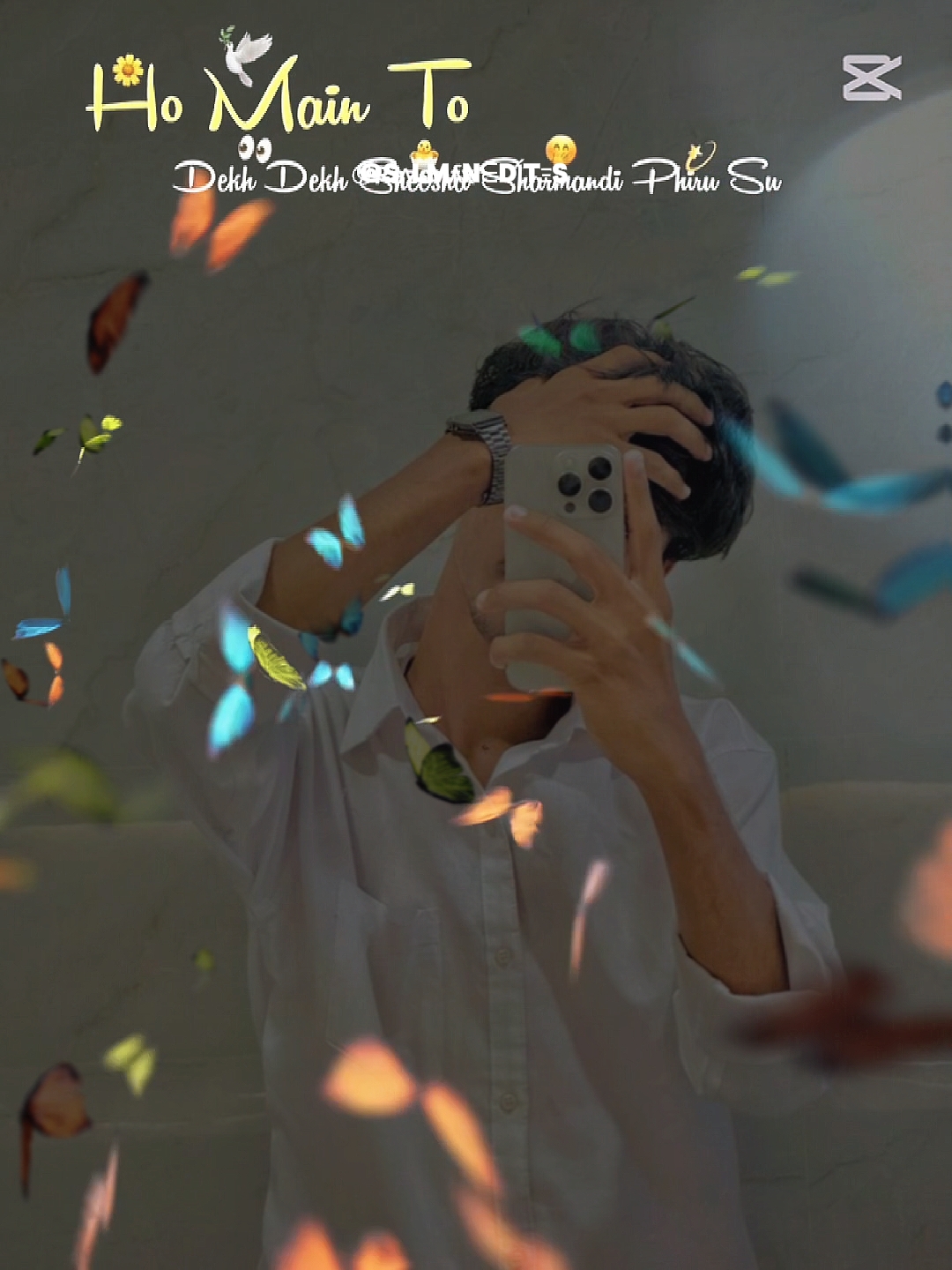 Cover Picture