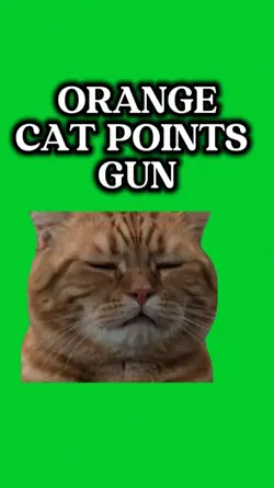 ORANGE
CAT POINTS
G