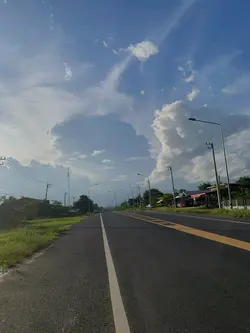 365วันกับเครื่องบินกระดาษ