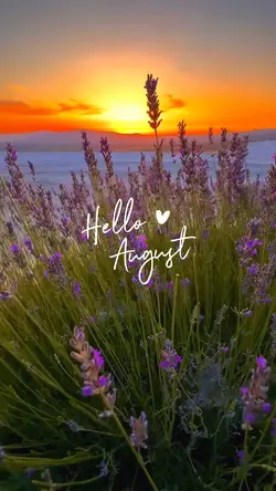 Hello August