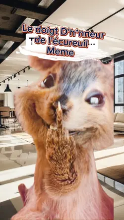 L'écureuil Meme