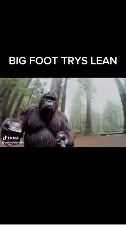 BIG FOOT VLOGS