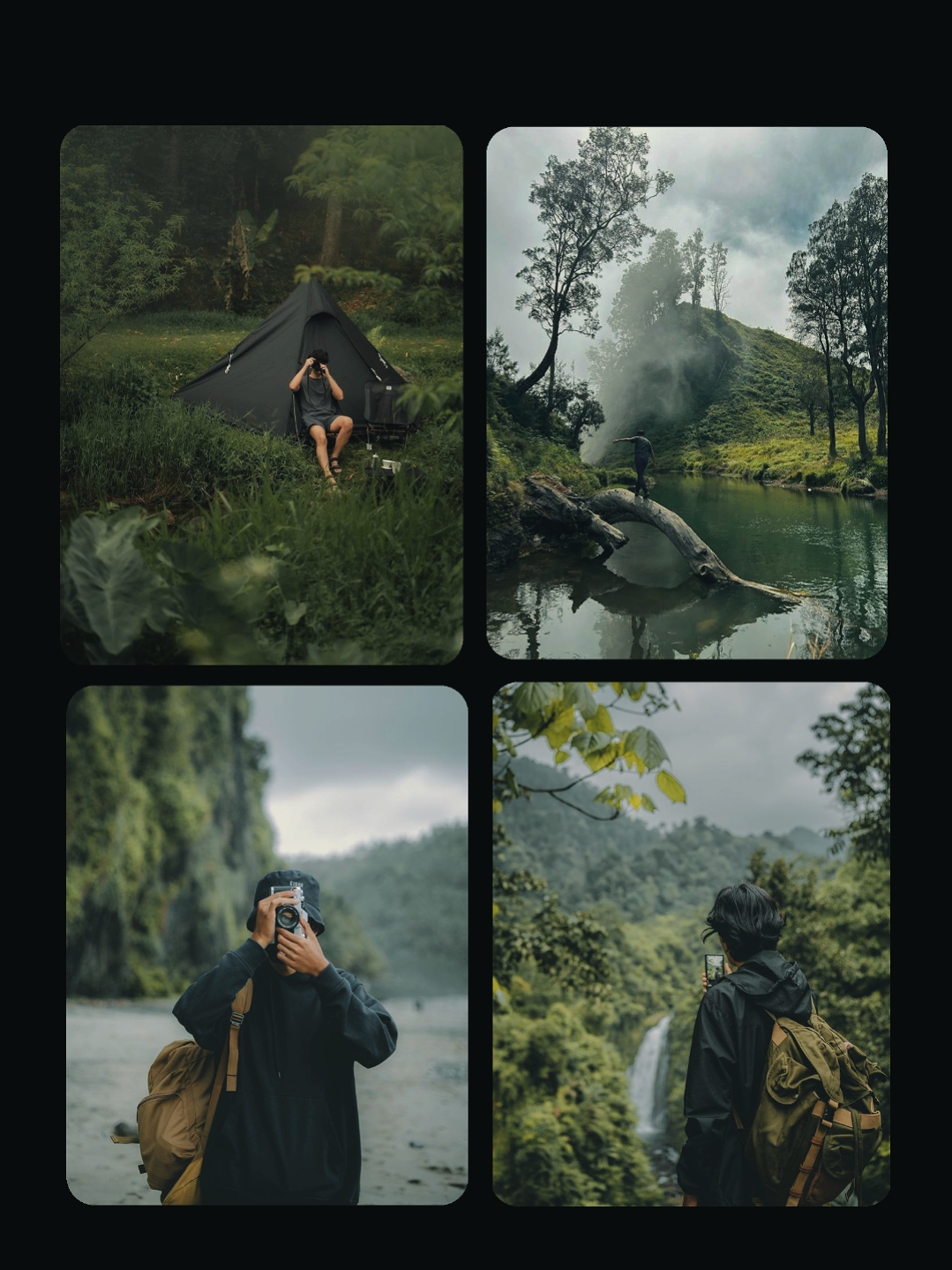 4 fotos natureza 