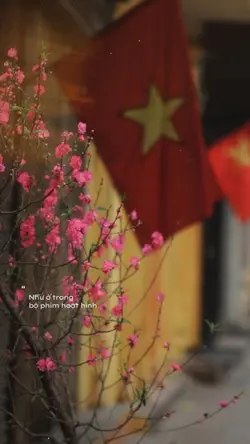 MẪU 1 ẢNH TẾT