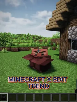 Minecraft x edit 