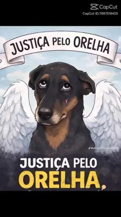 justiça pelo orelha 