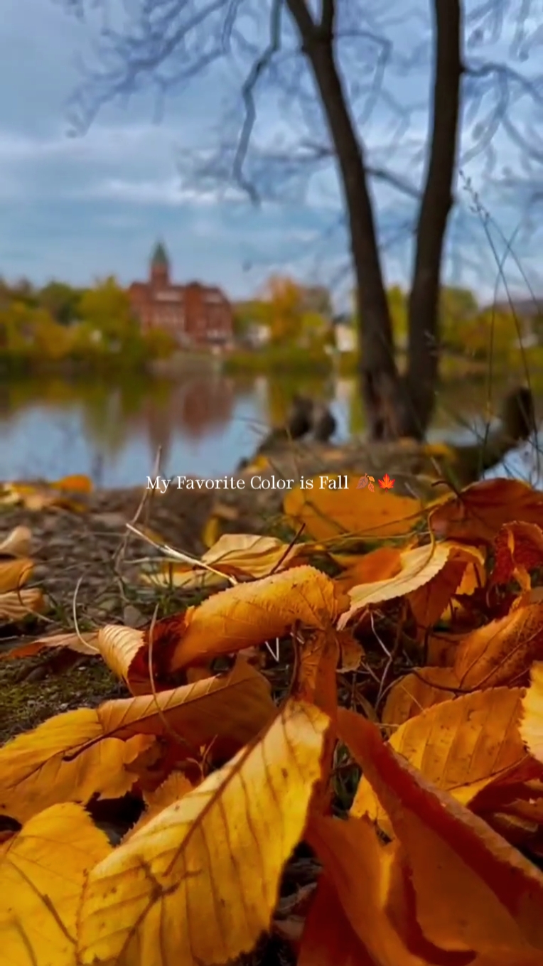 Fall 