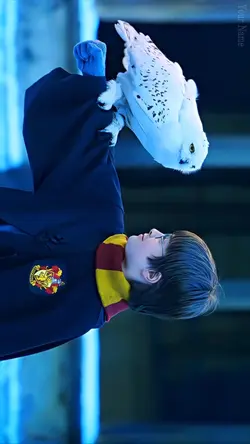 Harrypotter 4k edit