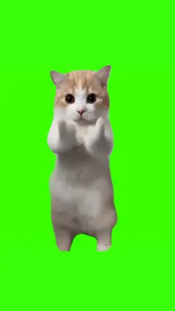kucing joget trend