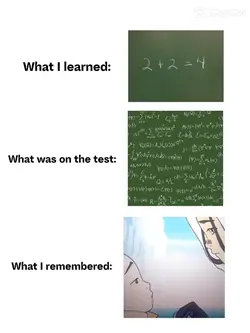 homework avatar meme